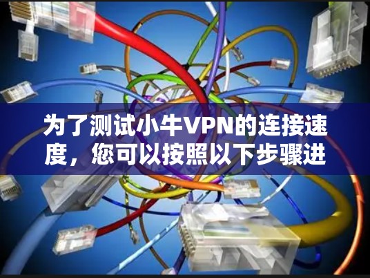 为了测试小牛VPN的连接速度，您可以按照以下步骤进行