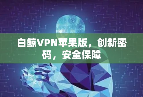 白鲸VPN苹果版，创新密码，安全保障
