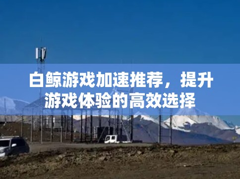 白鲸游戏加速推荐，提升游戏体验的高效选择