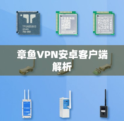 章鱼VPN安卓客户端解析