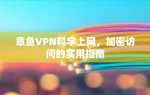 章鱼VPN科学上网，加密访问的实用指南