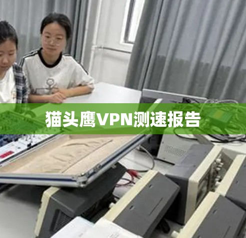 猫头鹰VPN测速报告