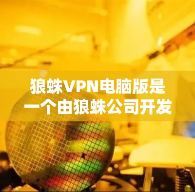 狼蛛VPN电脑版是一个由狼蛛公司开发的基于Windows的VPN软件，旨在提供安全、便捷的VPN连接。以下是使用狼蛛VPN电脑版的具体步骤