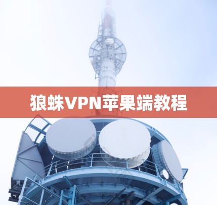 狼蛛VPN苹果端教程
