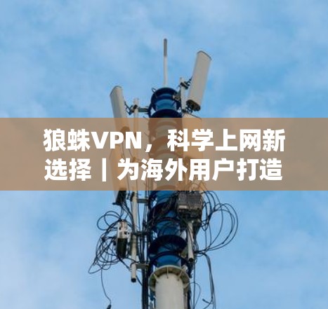 狼蛛VPN，科学上网新选择｜为海外用户打造安全便捷的网络体验