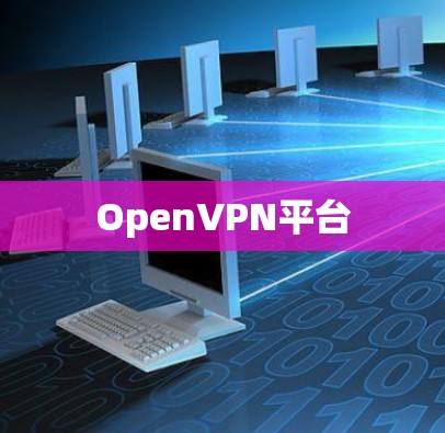 OpenVPN平台 OpenVPN平台