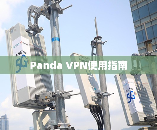 Panda VPN使用指南