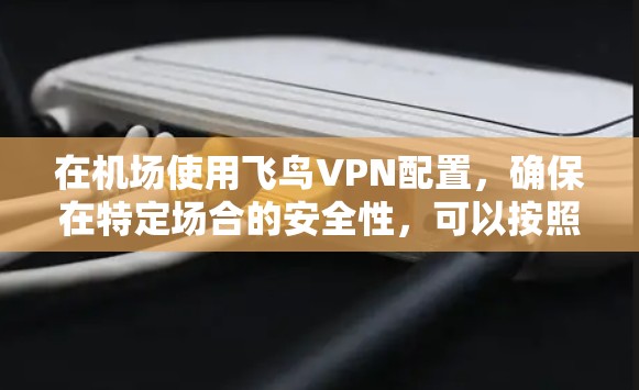 在机场使用飞鸟VPN配置，确保在特定场合的安全性，可以按照以下步骤进行