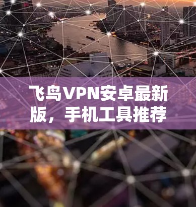 飞鸟VPN安卓最新版，手机工具推荐