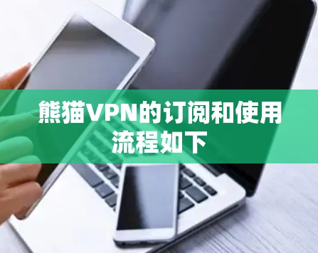 熊猫VPN的订阅和使用流程如下