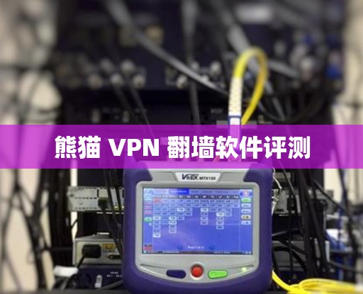 熊猫 VPN 翻墙软件评测