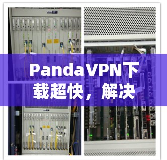 PandaVPN下载超快，解决网络延迟的高效方法