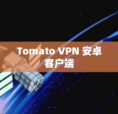 Tomato VPN 安卓客户端 Tomato VPN 安卓客户端