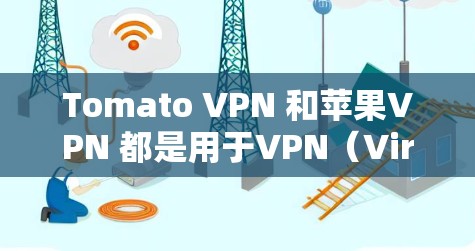 Tomato VPN 和苹果VPN 都是用于VPN（Virtual Private Networks）的工具，但它们有不同的特点和适用场景。以下是对这两个工具的比较和建议