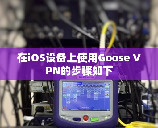 在iOS设备上使用Goose VPN的步骤如下