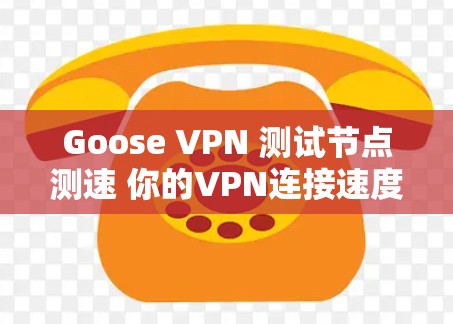 Goose VPN 测试节点测速 你的VPN连接速度有多快？