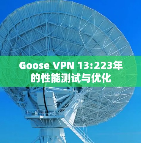 Goose VPN 13:223年的性能测试与优化