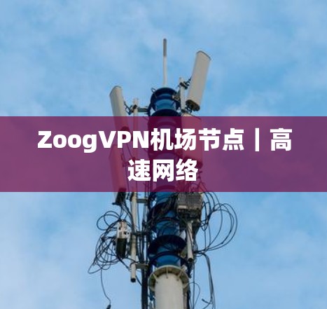 ZoogVPN机场节点｜高速网络