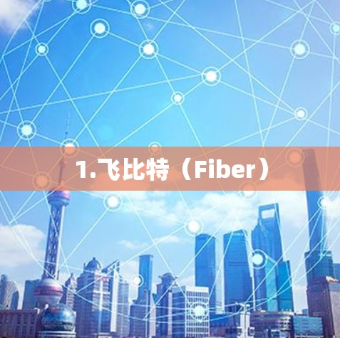 1.飞比特(Fiber) 1.飞比特(Fiber)