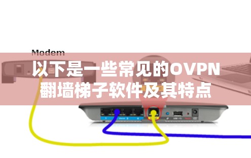 以下是一些常见的OVPN翻墙梯子软件及其特点