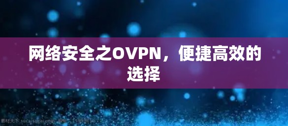 网络安全之OVPN，便捷高效的选择
