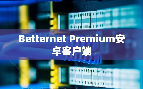 Betternet Premium安卓客户端