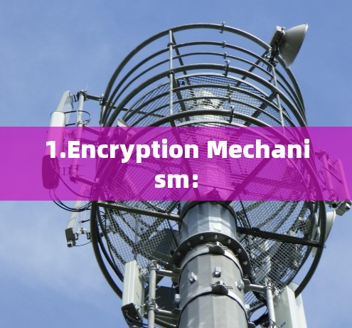 1.Encryption Mechanism: