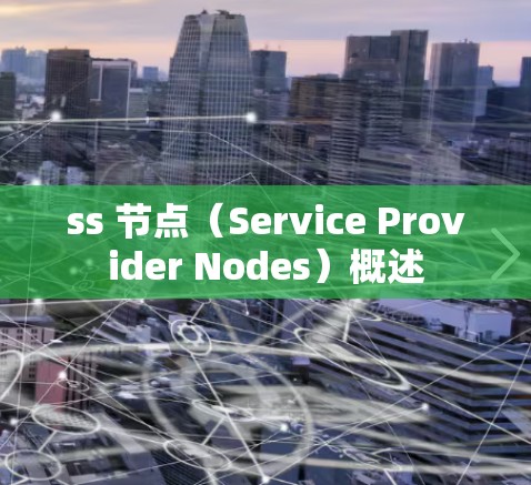ss 节点（Service Provider Nodes）概述