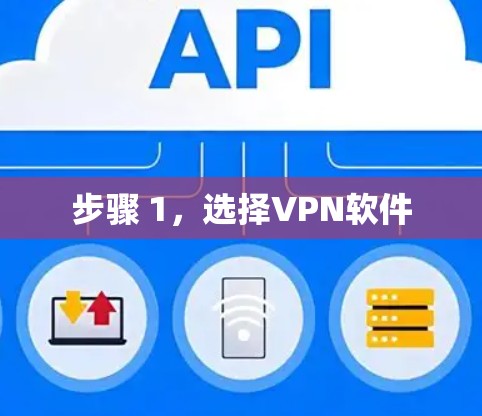 步骤 1，选择VPN软件