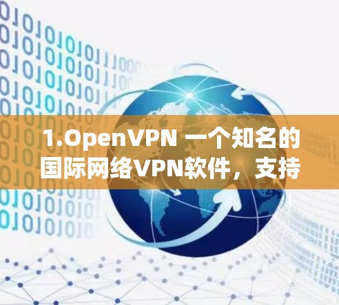 1.OpenVPN 一个知名的国际网络VPN软件，支持多种协议，如OpenSSH、SSH4和WEP
