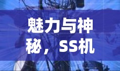 魅力与神秘，SS机场