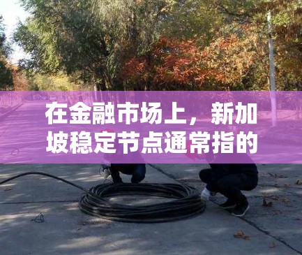 在金融市场上，新加坡稳定节点通常指的是那些交易活跃、市场表现稳定的机构或投资者。新加坡作为全球重要的金融中心，拥有大量机构和投资者，因此在金融市场中，这些机构通常能够维持市场的稳定性和流动性