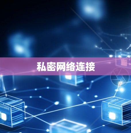 私密网络连接