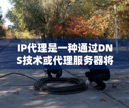 IP代理是一种通过DNS技术或代理服务器将用户IP地址分配给特定网站的方法，目的是提高网站的搜索排名和流量。以下是关于IP代理的详细解释