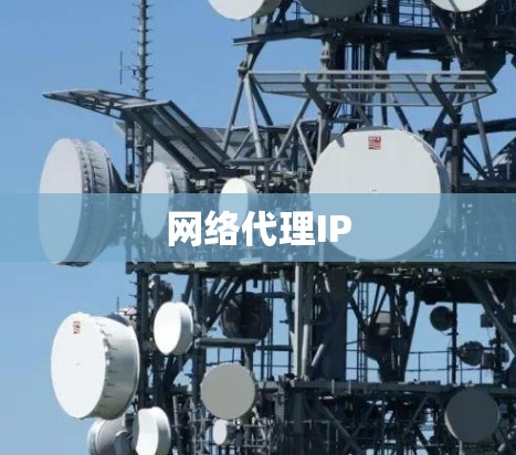 网络代理IP 网络代理IP