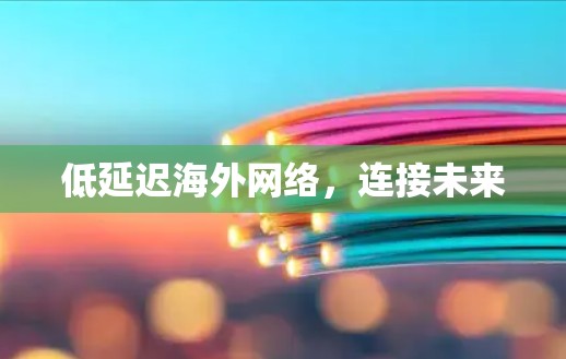 低延迟海外网络,连接未来 低延迟海外网络,连接未来