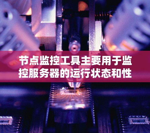 节点监控工具主要用于监控服务器的运行状态和性能，帮助管理员及时发现和解决潜在问题。以下是对节点监控工具的详细说明