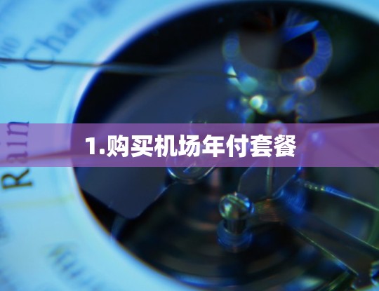 1.购买机场年付套餐