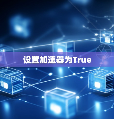 设置加速器为True 设置加速器为True