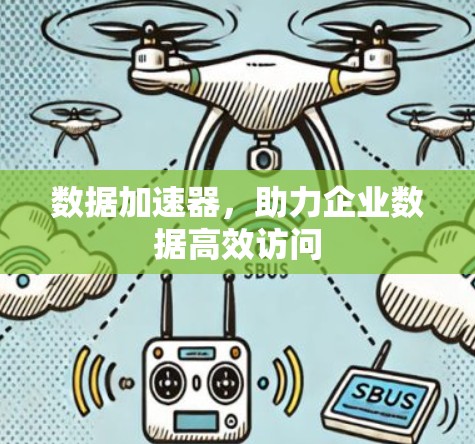 数据加速器，助力企业数据高效访问