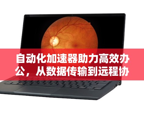 自动化加速器助力高效办公，从数据传输到远程协作的智能化方案