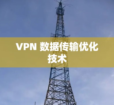 VPN 数据传输优化技术
