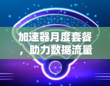 加速器月度套餐，助力数据流量管理，打造高效数据传输体验