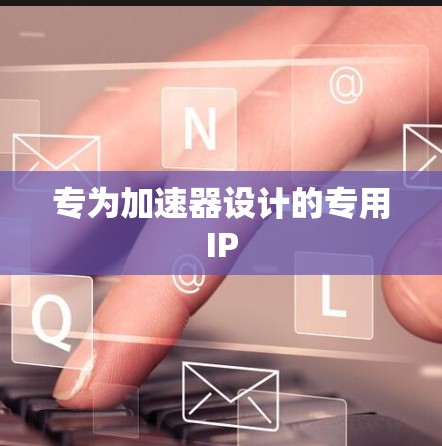 专为加速器设计的专用IP 专为加速器设计的专用IP