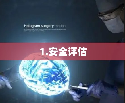 1.安全评估
