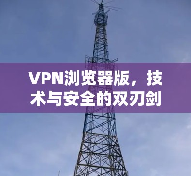 VPN浏览器版，技术与安全的双刃剑