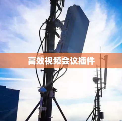高效视频会议插件