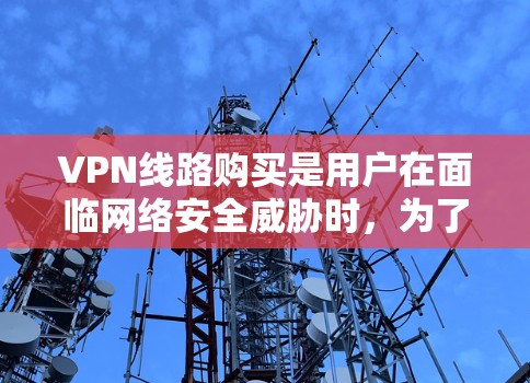VPN线路购买是用户在面临网络安全威胁时，为了保护个人隐私或日常生活需求而采取的措施之一。以下是购买VPN线路的基本步骤和注意事项