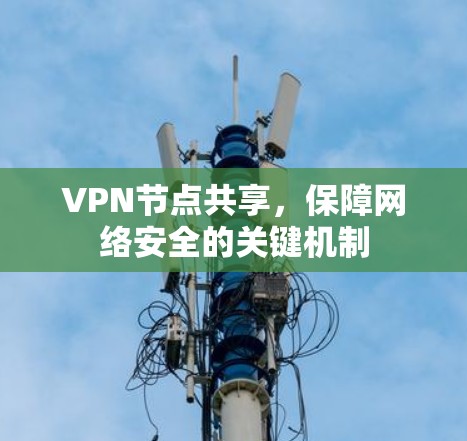 VPN节点共享，保障网络安全的关键机制