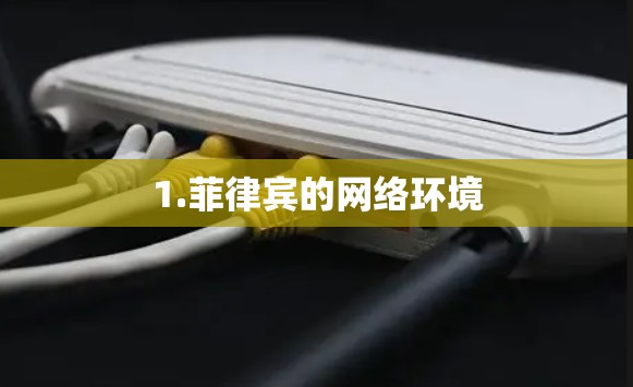 1.菲律宾的网络环境 1.菲律宾的网络环境